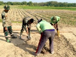 TMMD 129 Bangun Lapak PKL di Kesongo