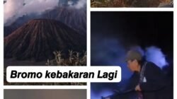 bromo