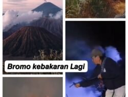 Luas Lahan Terbakar di Gunung Bromo 10 Hektare, BPBD Probolinggo: Belum Bisa Padam