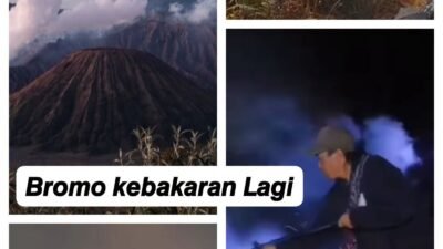 bromo
