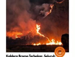 Kebakaran Kian Meluas, Seluruh Akses Kunjungan Ke Gunung Bromo Ditutup Total