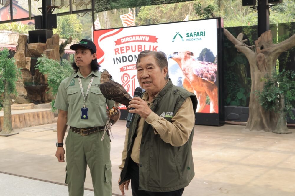 Jelang 17 Agustus, TSI Catat Keberhasilan Konservasi Elang Jawa, Diberi Nama Garuda