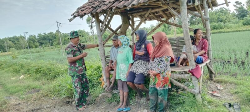 Koramil Leces Aktif Komsos dan Dampingi Petani Binaan