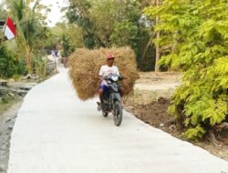 Jalan Baru, Harapan Baru: Asa Petani Dusun Mundu Mengangkut Rezeki Lewat TMMD 129 Bojonegoro