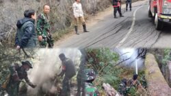 Pastikan Tak Ada Titik Api Tersisa, Dandim Terjunkan Personel Sisir Kawasan Karhutla Gunung Bromo