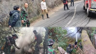 Pastikan Tak Ada Titik Api Tersisa, Dandim Terjunkan Personel Sisir Kawasan Karhutla Gunung Bromo