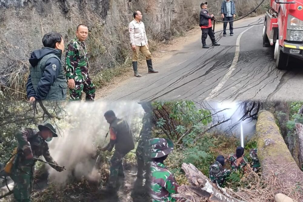 Pastikan Tak Ada Titik Api Tersisa, Dandim Terjunkan Personel Sisir Kawasan Karhutla Gunung Bromo