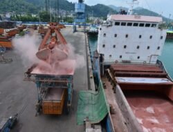 PTP Nonpetikemas Dorong Peningkatan Kompetensi TKBM melalui Pelatihan dan Sertifikasi BNSP di Pelabuhan Panjang