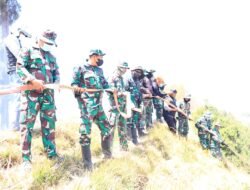 Dandim 0820/Probolinggo Letkol Inf Ribut Yodo Apriantono Pimpin Langsung Pemadaman Karhutla Di Area Gunung Bromo