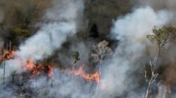 Kabut Asap Karhutla di Sarawak Malaysia Makin Pekat, 591 Sekolah Ditutup
