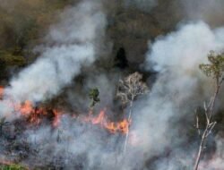 Kabut Asap Karhutla di Sarawak Malaysia Makin Pekat, 591 Sekolah Ditutup