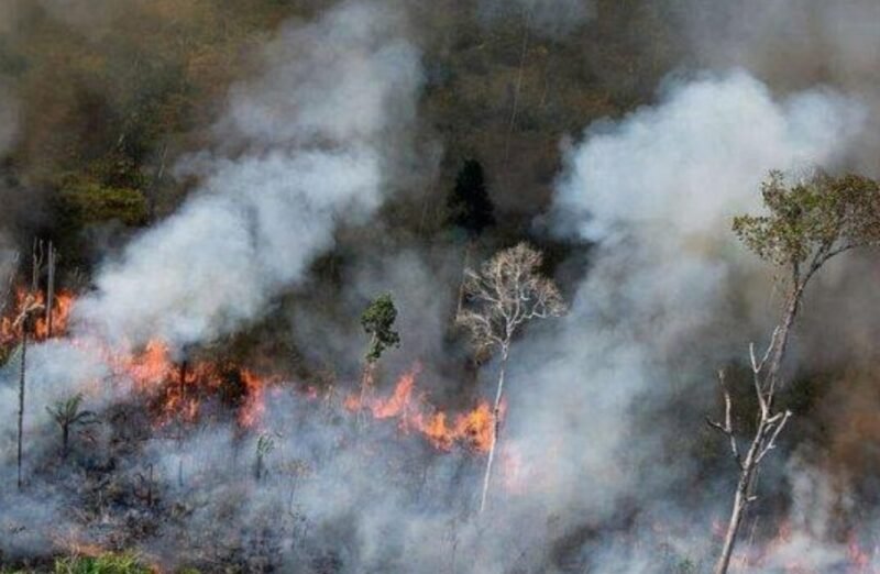 Kabut Asap Karhutla di Sarawak Malaysia Makin Pekat, 591 Sekolah Ditutup