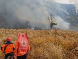 BNPB: Pemadaman Karhutla di Gunung Bromo Dipercepat  Dengan OMC