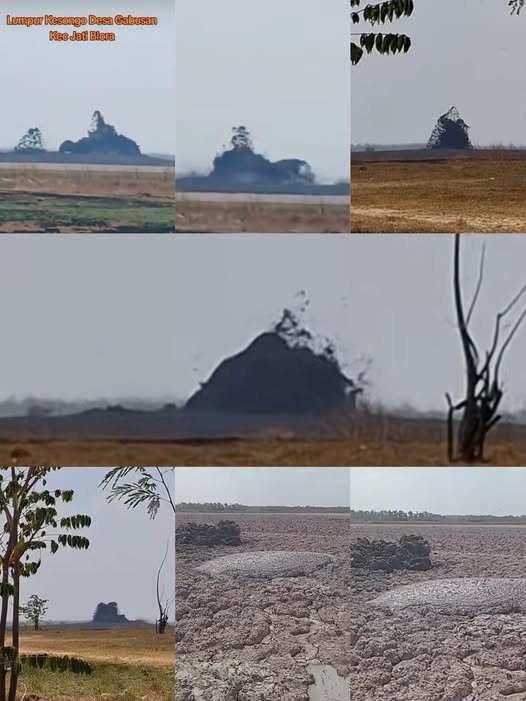Oro oro Kesongo
