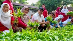 Panen Serentak di 223 Lokasi, Pelajar Jakarta Timur Didorong Kembangkan Urban Farming