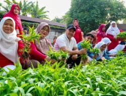 Panen Serentak di 223 Lokasi, Pelajar Jakarta Timur Didorong Kembangkan Urban Farming