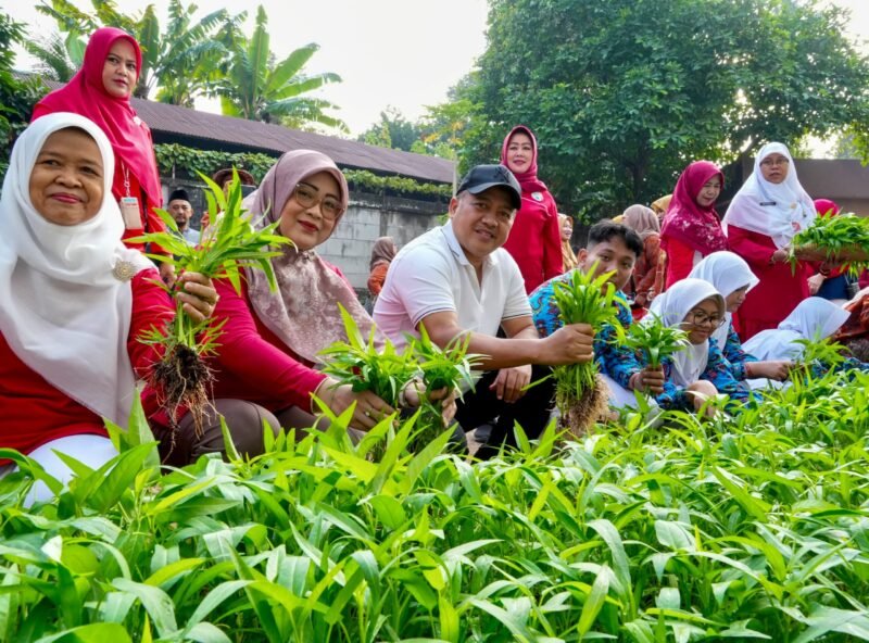 Panen Serentak di 223 Lokasi, Pelajar Jakarta Timur Didorong Kembangkan Urban Farming