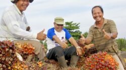 PTPN IV PalmCo Perkuat Kemitraan untuk Tingkatkan Produktivitas Sawit Rakyat