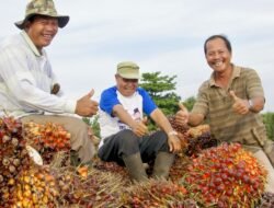 PTPN IV PalmCo Perkuat Kemitraan untuk Tingkatkan Produktivitas Sawit Rakyat