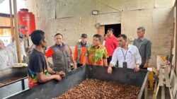 BNPB dan PNM Kembangkan Olahan Pinang Penyintas Agam