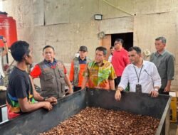 BNPB dan PNM Kembangkan Olahan Pinang Penyintas Agam