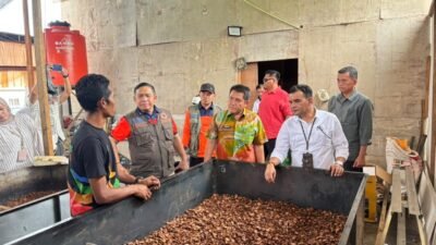 BNPB dan PNM Kembangkan Olahan Pinang Penyintas Agam