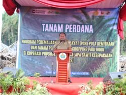 Bupati Asahan Resmikan Tanam Perdana PSR dan Padi Gogo