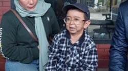 Daus Mini