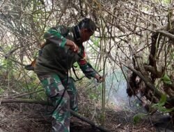 Karhutla TNBTS Terkendali, Tim Gabungan Tetap Siaga Pantau Titik Panas di Tebing Pusung Duwur
