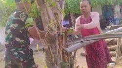 Bojonegoro