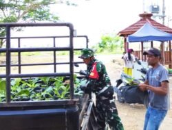 Perkuat Ketahanan Pangan, Satgas TMMD 129 Bojonegoro Pasok Ratusan Bibit Sayuran untuk Warga Kesongo