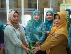 Ketua TP PKK Asahan Tinjau Desa Persatuan untuk Hadapi Lomba AKU HATINYA PKK Tingkat Sumut