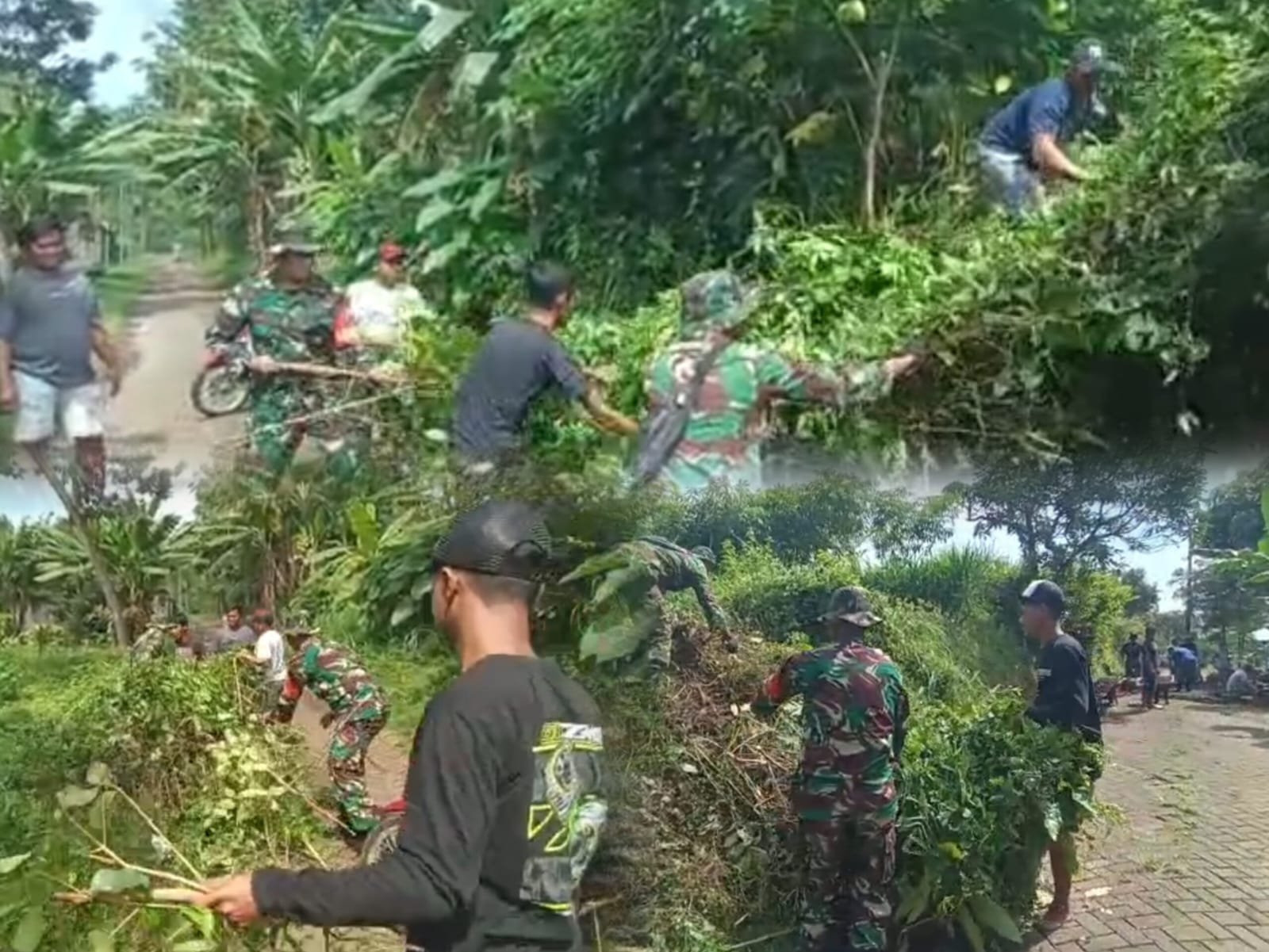 Sumberrejo