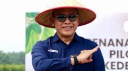 Kemitraan Sawit Rakyat Jadi Penopang B50, PTPN IV PalmCo Raih Penghargaan