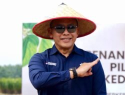 Kemitraan Sawit Rakyat Jadi Penopang B50, PTPN IV PalmCo Raih Penghargaan