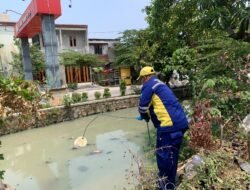 Limbah Restoran Jadi Sorotan, DLH Bekasi Cek Lokasi dan Uji Air Kali Abang