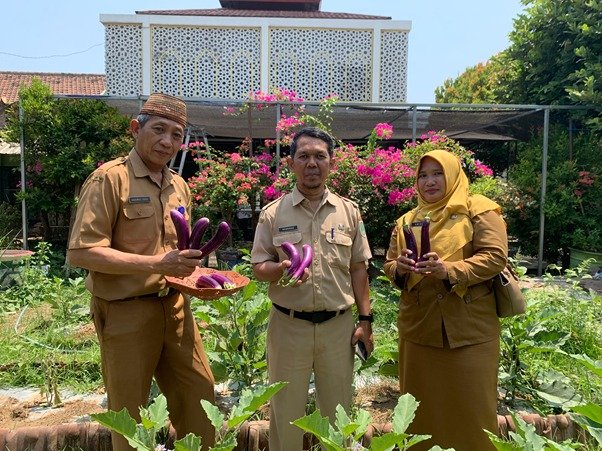 Panen Terong dan Cabai di SMPN 4 Pasuruan: Sinergi Mewujudkan Ekosistem Sekolah PRIME Melalui Pilar "Sekolah Peduli"