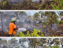 Masih Operasi Pendinginan, Status Darurat Asap di Kalbar Diperpanjang Sampai 20 September