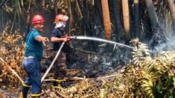 Antisipasi Karhutla, PTPN IV PalmCo Perkuat Patroli di Sumatera dan Kalimantan