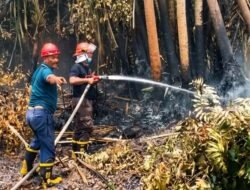 Antisipasi Karhutla, PTPN IV PalmCo Perkuat Patroli di Sumatera dan Kalimantan