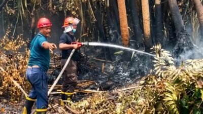 Antisipasi Karhutla, PTPN IV PalmCo Perkuat Patroli di Sumatera dan Kalimantan