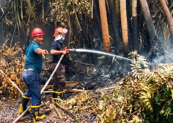 Antisipasi Karhutla, PTPN IV PalmCo Perkuat Patroli di Sumatera dan Kalimantan