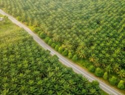 CBG dari Limbah Sawit PTPN IV PalmCo Bakal Diserap Pertagas Niaga