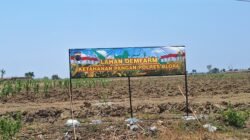 Program Ketahanan Pangan Polres Blora, Hasil Panen Jagung Belum Maksimal