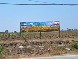 Program Ketahanan Pangan Polres Blora, Hasil Panen Jagung Belum Maksimal