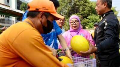 Munjirin Panen Melon Hasil Urban Farming di Lahan Tidur Rawamangun