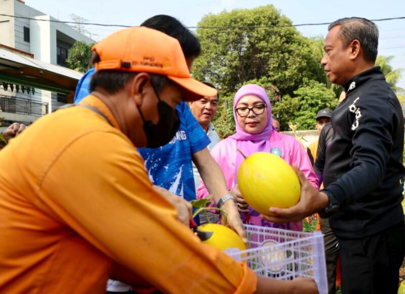 Munjirin Panen Melon Hasil Urban Farming di Lahan Tidur Rawamangun