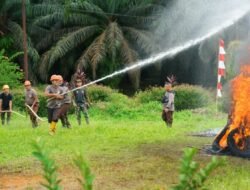 PTPN IV PalmCo Berikan Jaminan Ketenagakerjaan bagi 550 Pekerja Rentan di Kalbar
