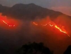Kebakaran Lahan di Gunung Rinjani Capai Seluas 589 Hektare