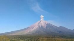 Gunung Semeru di Jawa Timur saat erupsi dengan tinggi letusan mencapai 1.000 meter di atas puncak, pada Senin (14/9/2026). FOTO: HO-PVMBG